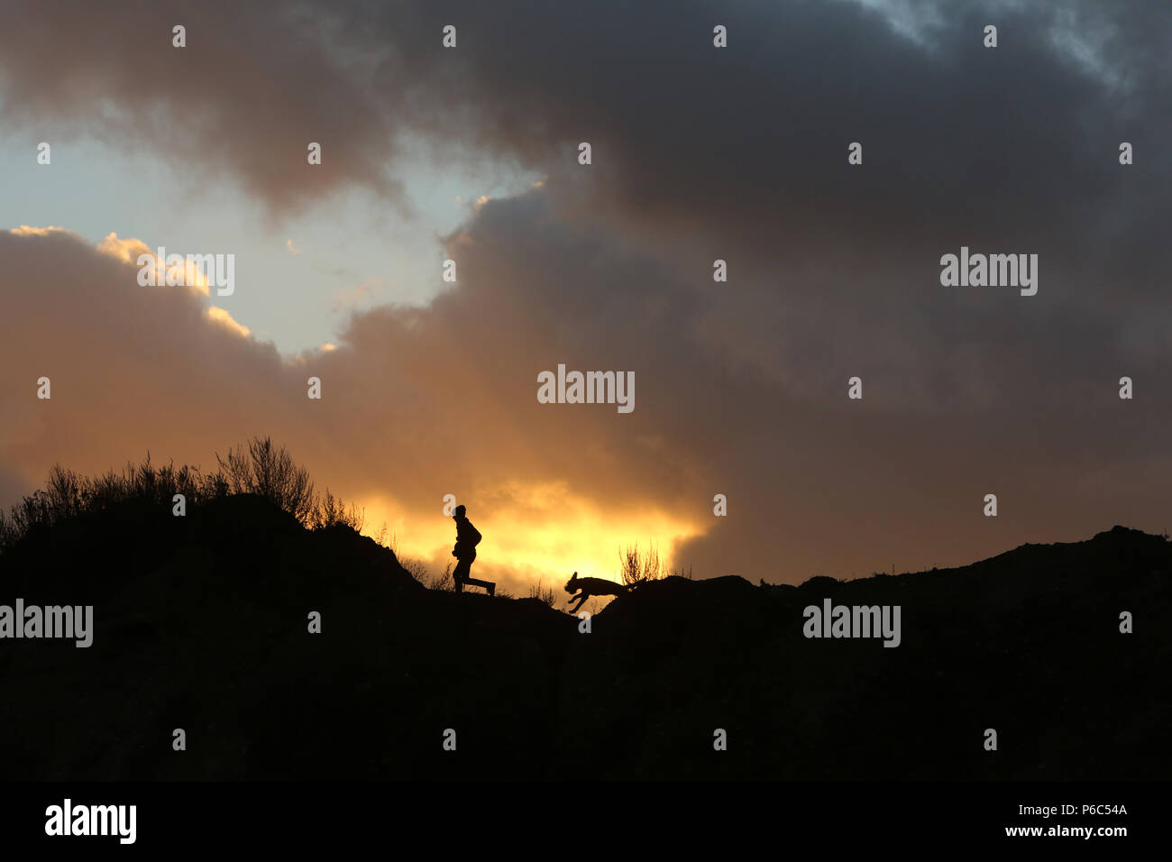 Wustrow, Allemagne - silhouette, le garçon s'exécute au coucher du soleil avec son chien sur une dune Banque D'Images