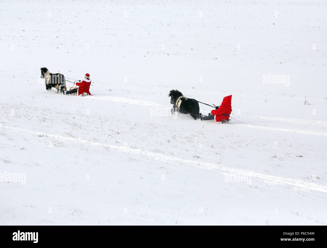 Oberoderwitz, habillés en femmes hommes Noël faire une promenade en traîneau avec leurs poneys Shetland Banque D'Images