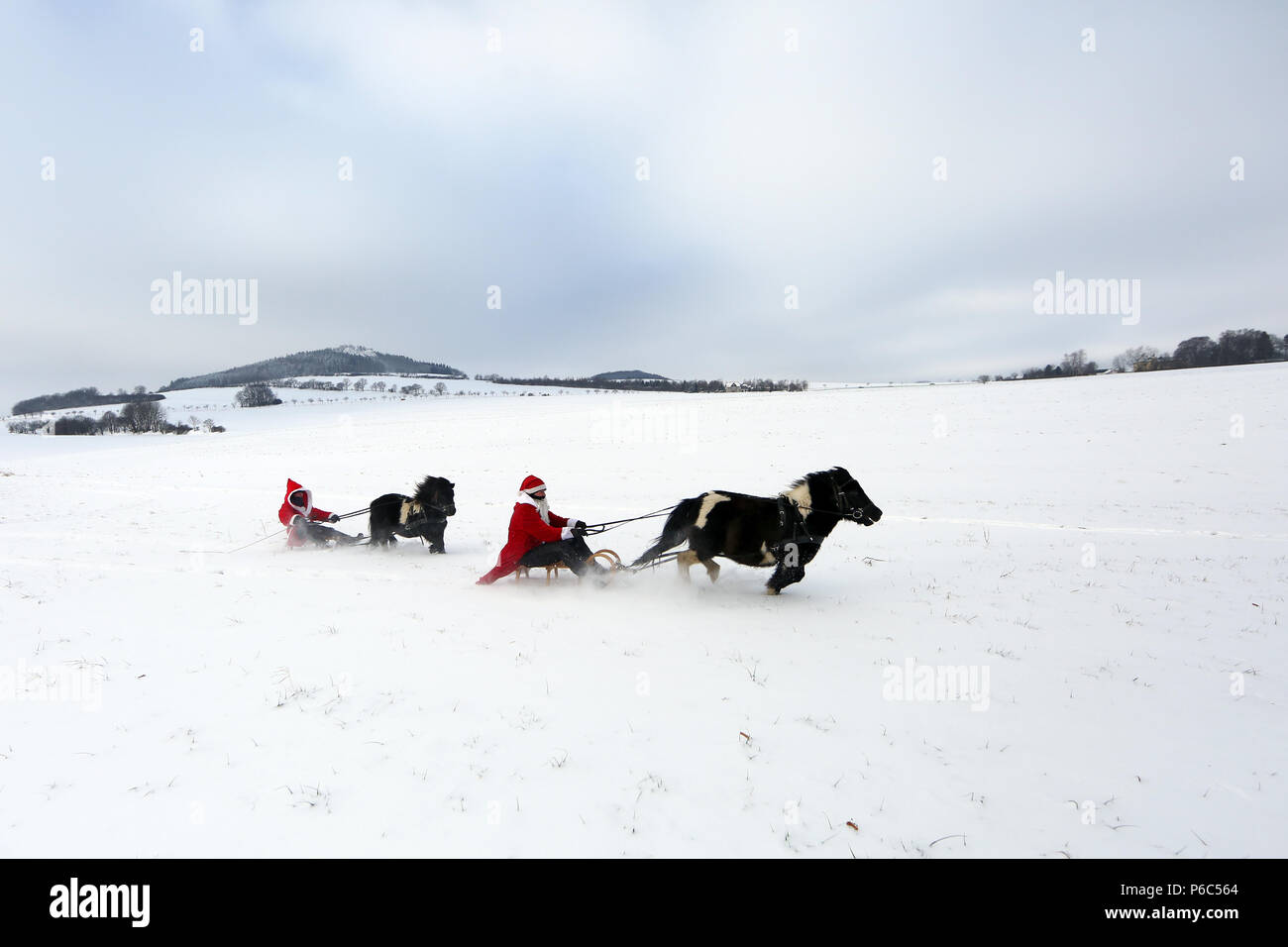 Oberoderwitz, habillés en femmes hommes Noël faire une promenade en traîneau avec leurs poneys Shetland Banque D'Images