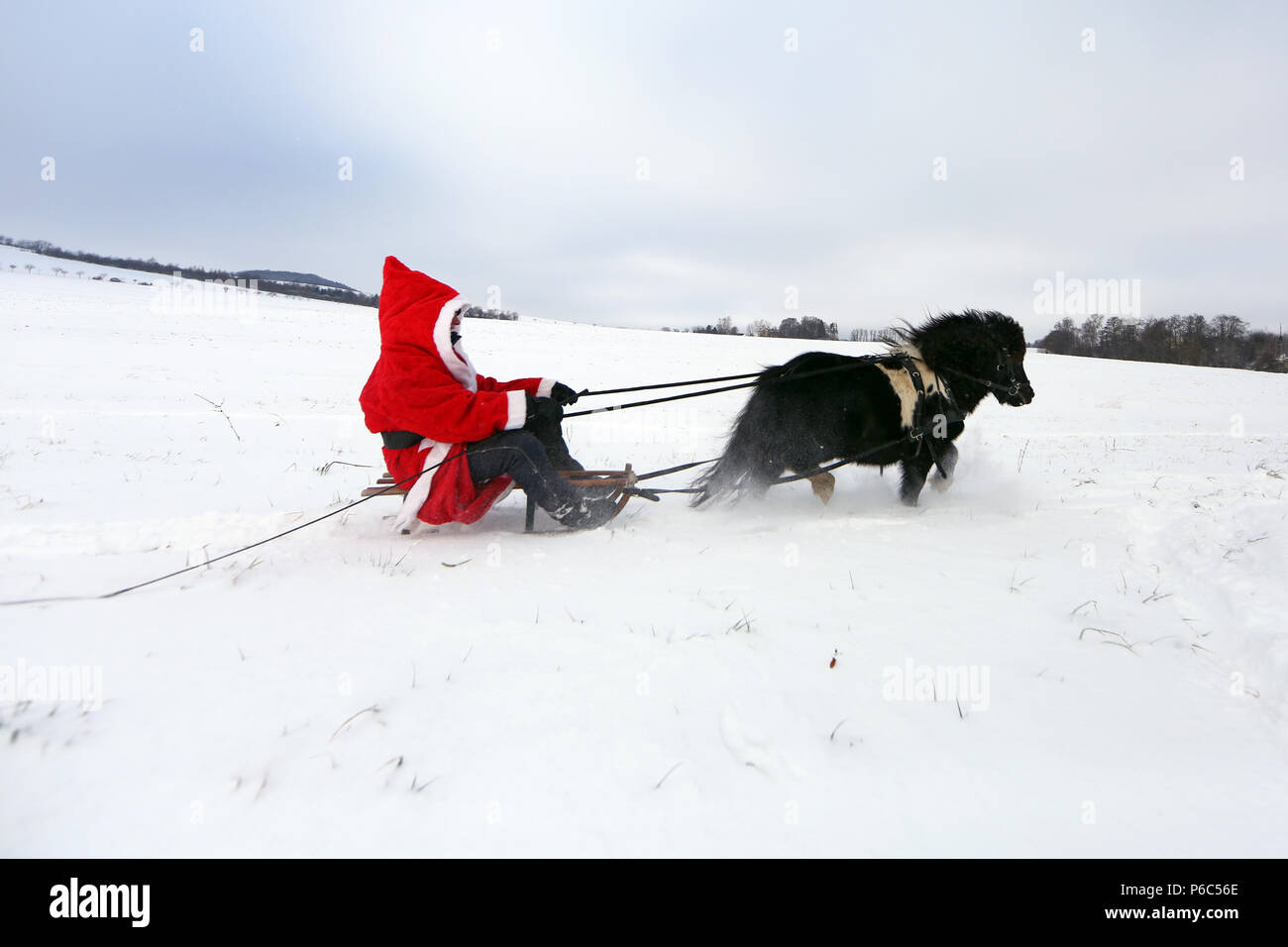 Oberoderwitz, le père Noël fait une promenade en traîneau avec son poney Shetland Banque D'Images