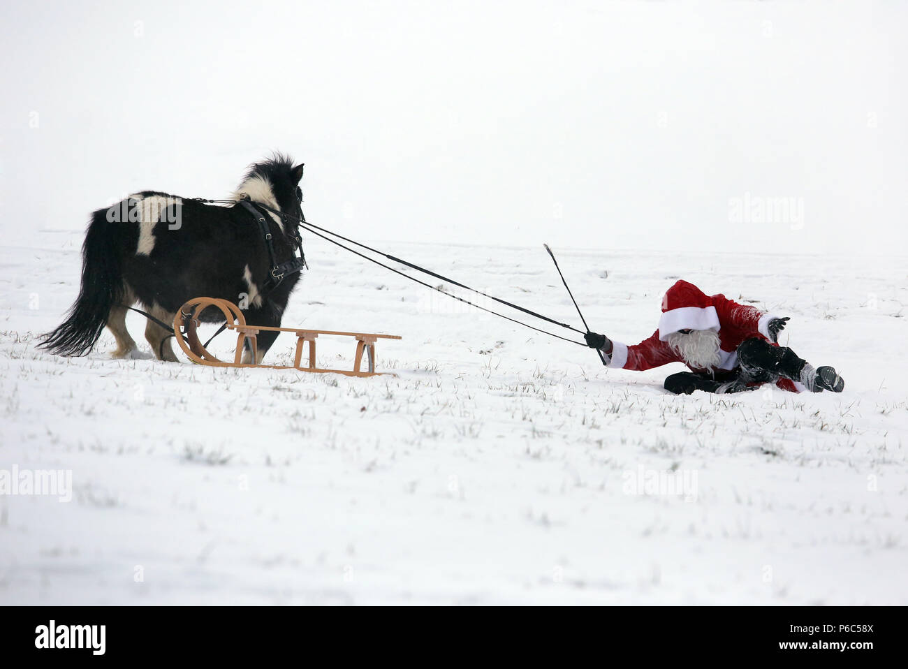 Oberoderwitz, habillé en père Noël, est tombé de son traîneau poney Banque D'Images