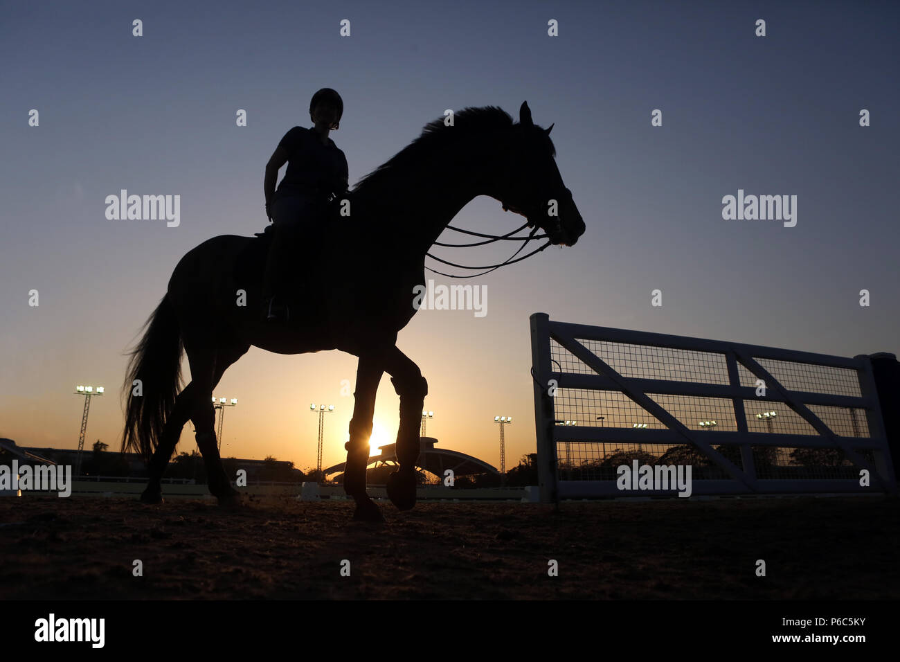 Doha, Silhouette, le cheval et le cavalier quittent la piste d'équitation après la formation Banque D'Images