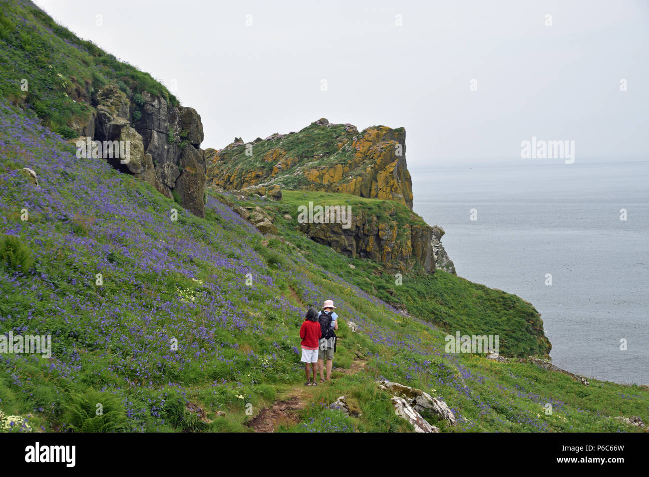 Vue sur l'île de Staffa Banque D'Images