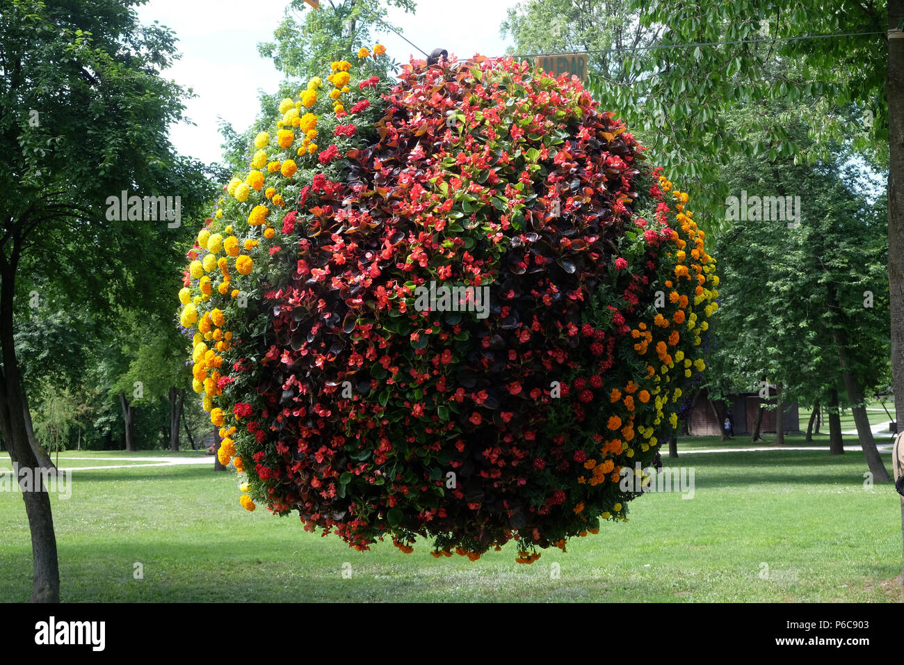 Les fleurs exposées sur Floraart, 52 de l''exposition internationale sur le lac Bundek à Zagreb, Banque D'Images