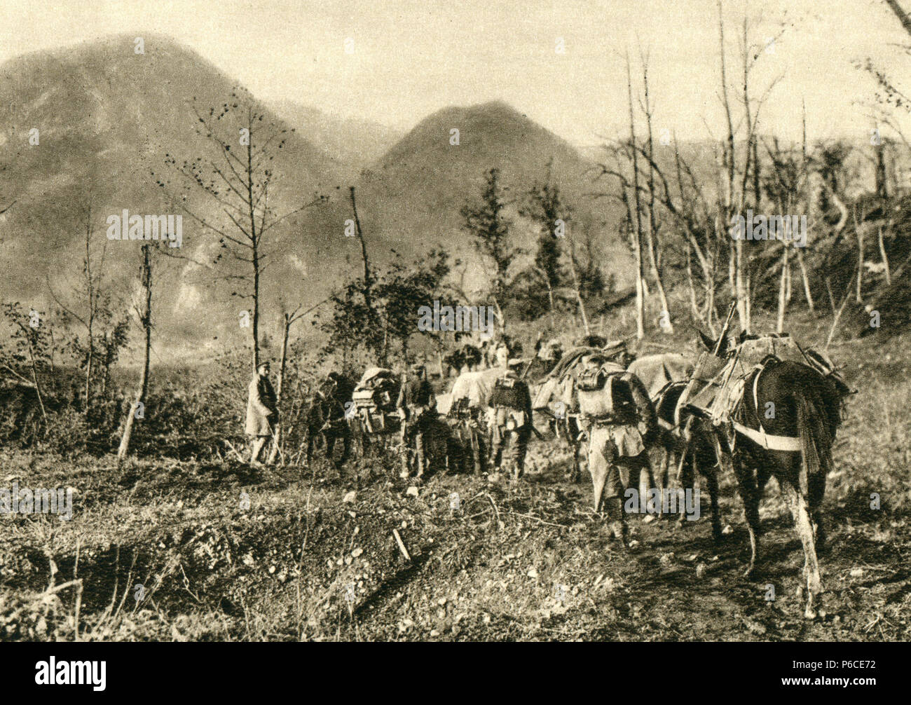 Munitions, restauration, fournitures, bête de somme colonne, ww1, la première guerre mondiale, la première guerre mondiale Banque D'Images