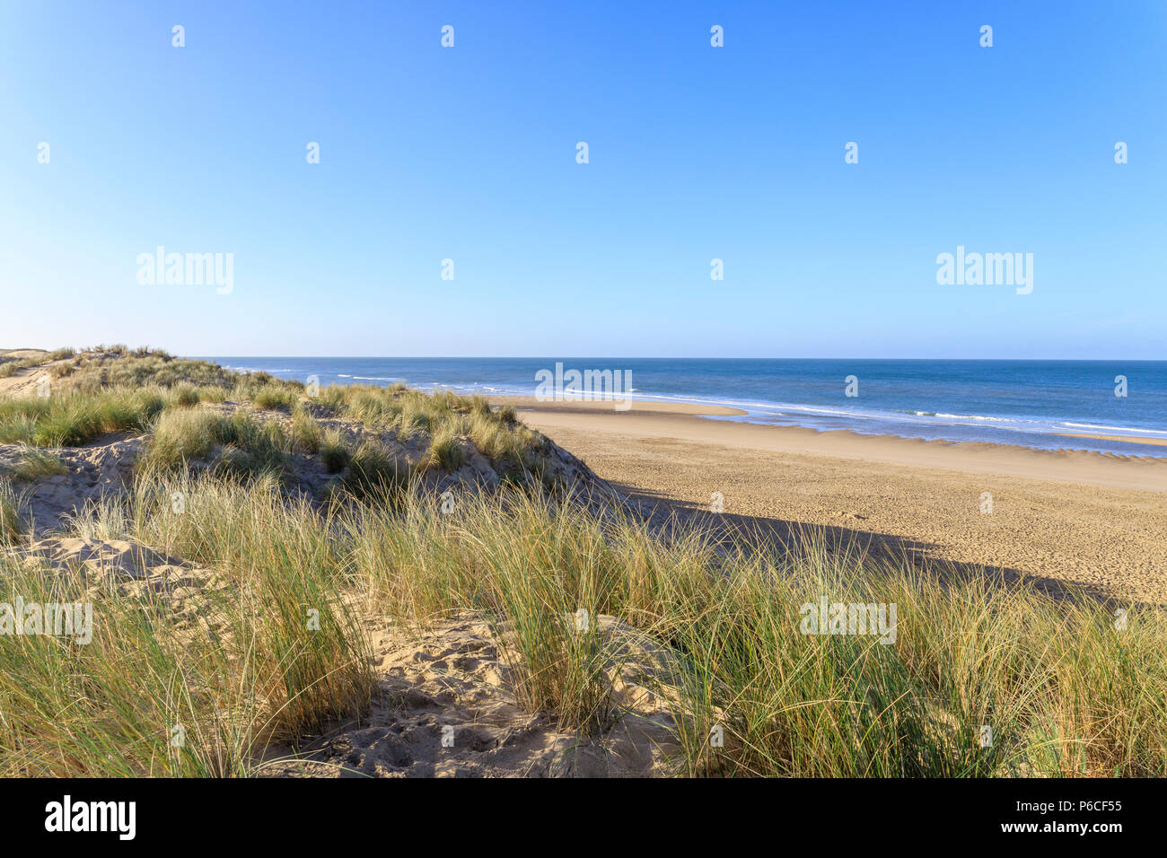 France, Charente Maritime, côte de beauté, la pointe de la Coubre, La Tremblade, la plage et des dunes de sable // France, Charente-Maritime (17), côte de Beauté, Banque D'Images