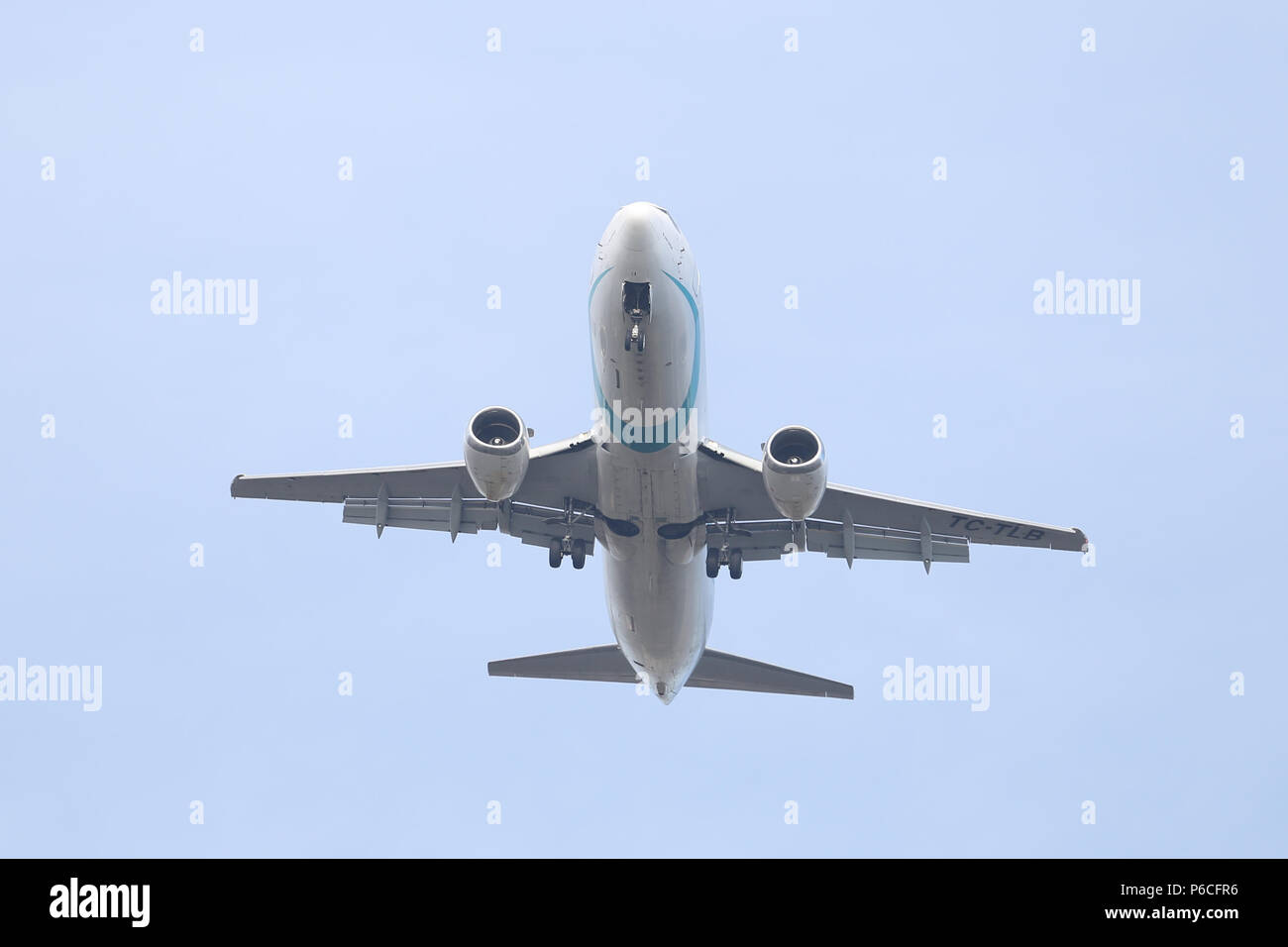 tailwind airlines flotte