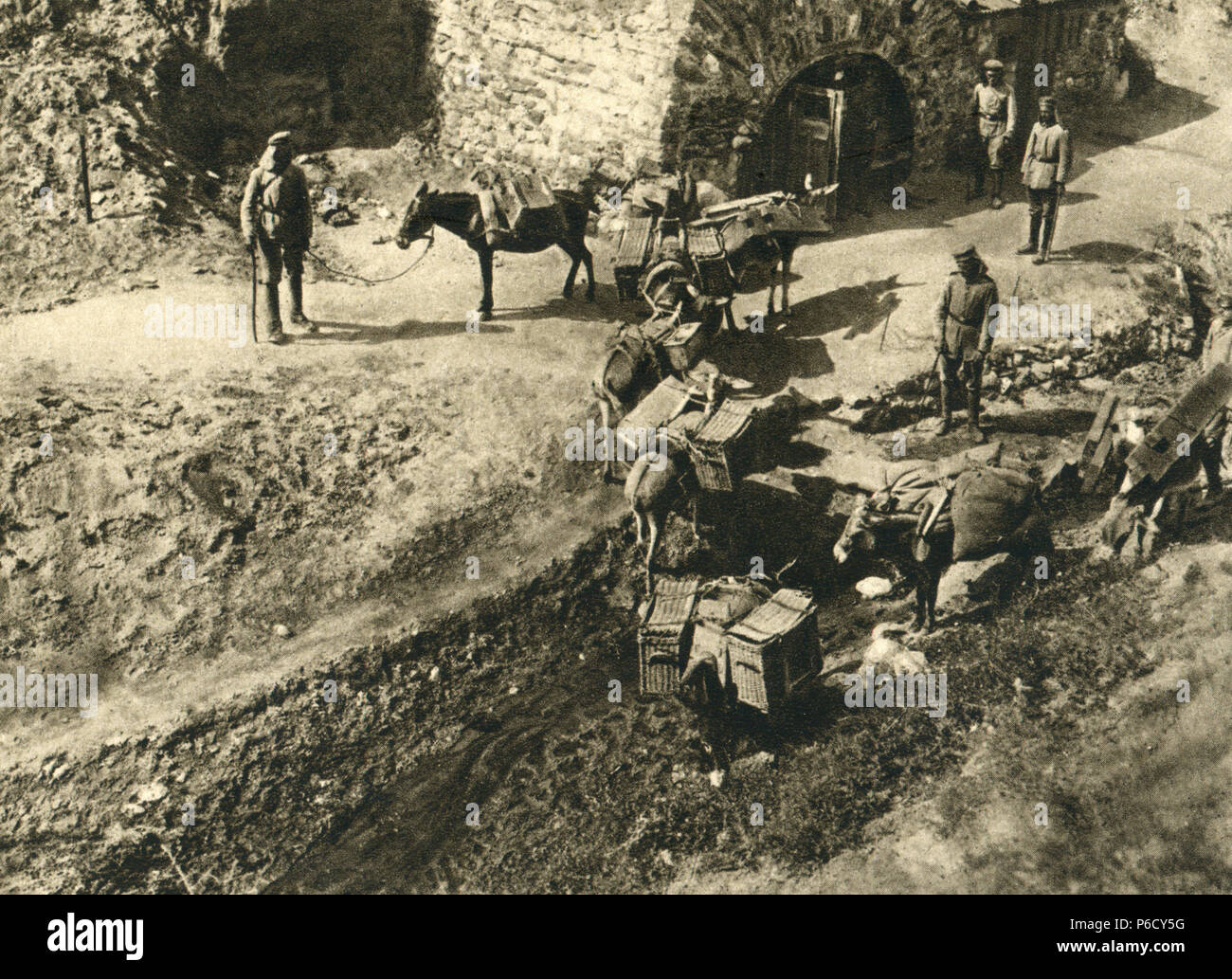 Macédoine, fournitures, bête de somme colonne, ww1, la première guerre mondiale, la première guerre mondiale Banque D'Images