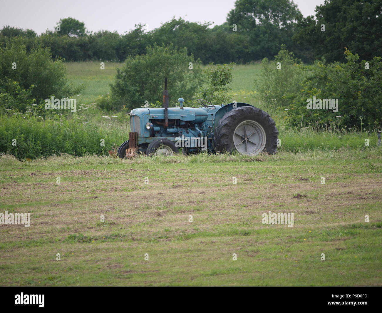 Fordson tracteur à roues et ailes Fir Park show Banque D'Images