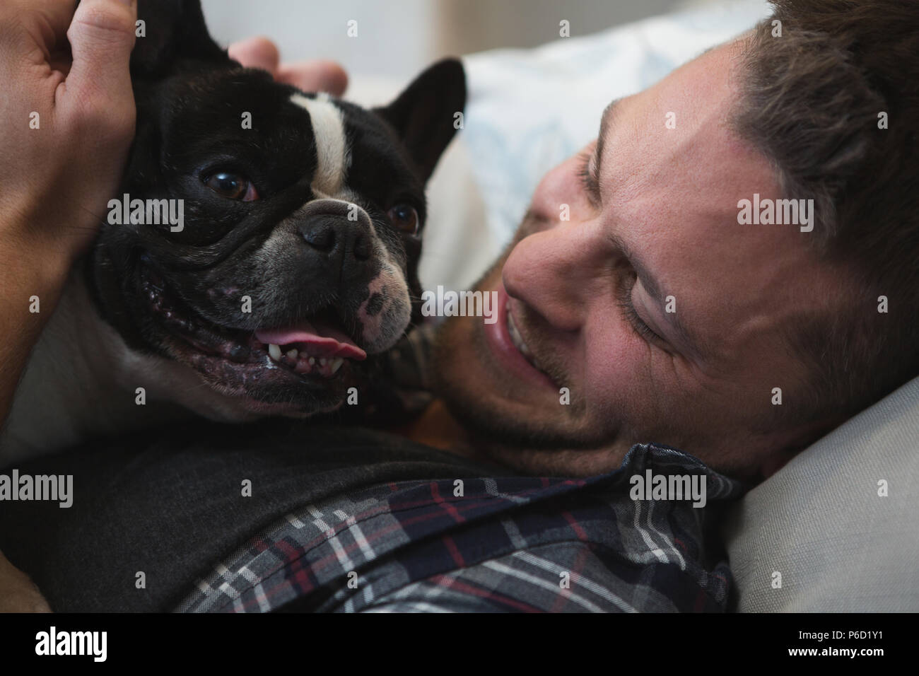 L'homme jouant avec son chien dans la salle de séjour Banque D'Images