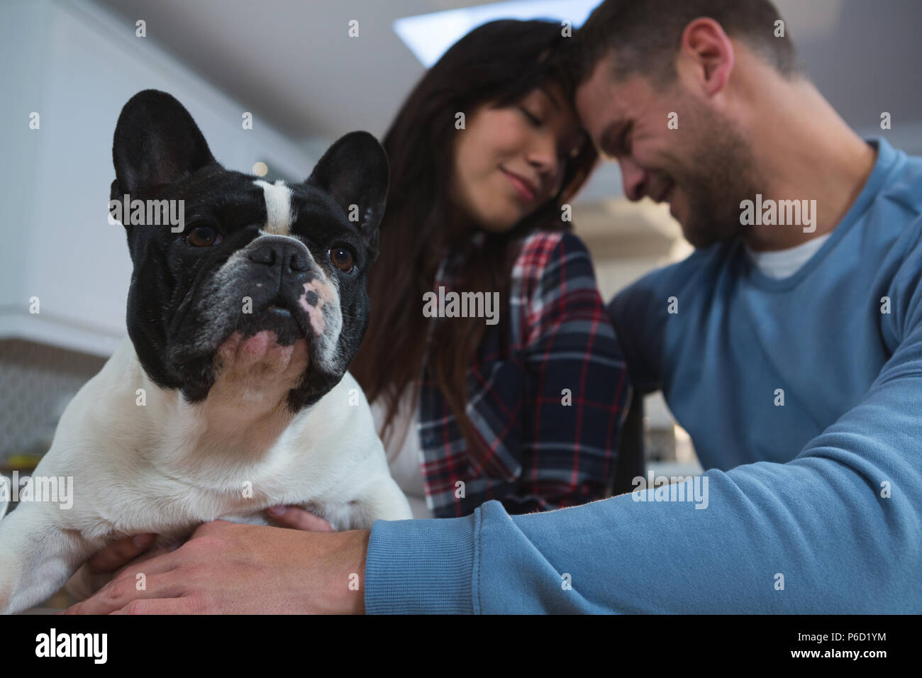 Couple de jouer avec leur chien de compagnie dans la cuisine à la maison Banque D'Images
