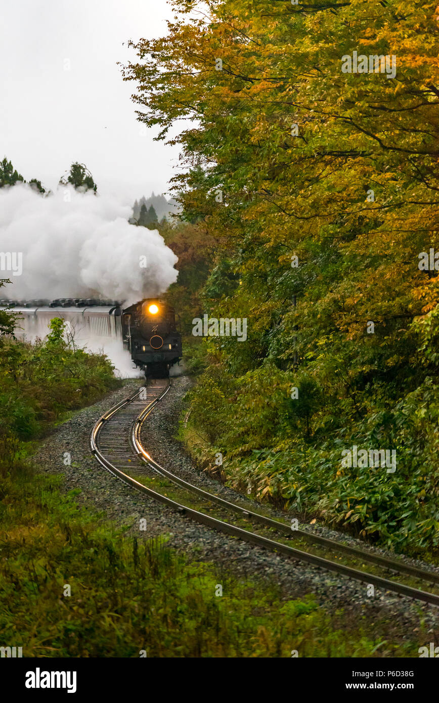 Locomotive vapeur en forêt d'automne à Fukushima Japon Banque D'Images