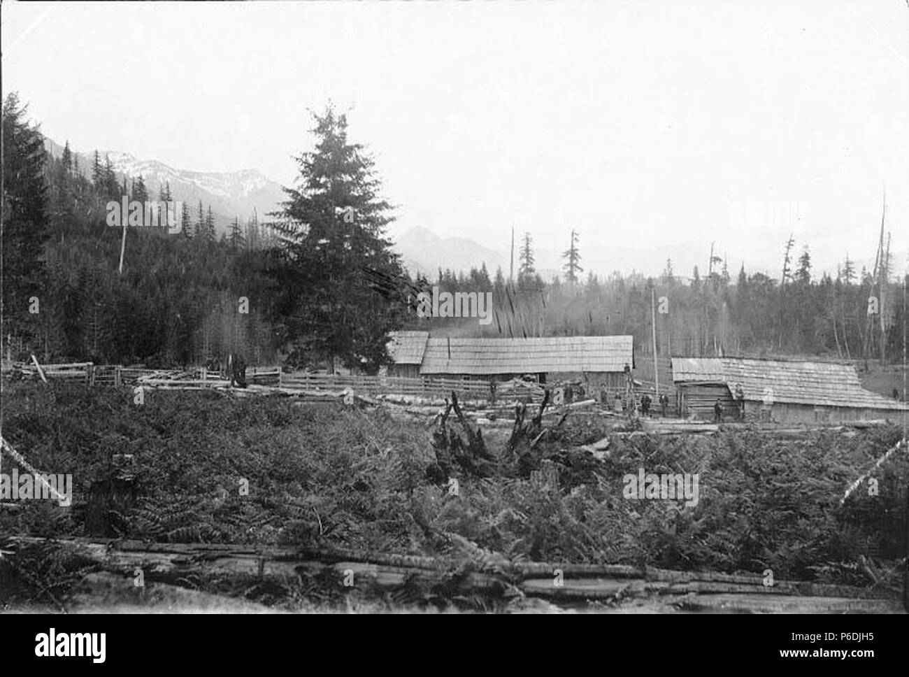 . Anglais : famille Kernahan homestead, Succotash Valley, ca. 1897 . Anglais : Légende dans album : Kerahans maintenant situé à Mount Rainier National Park, qui a été créée en 1899. PH Coll 35,154 Sujets (LCTGM) : exploitations agricoles--Washington (État) ; le peuplement des terres--Washington (État) . vers 1897 58 famille Kernahan homestead, Succotash Valley, ca 1897 (104) SARVANT Banque D'Images