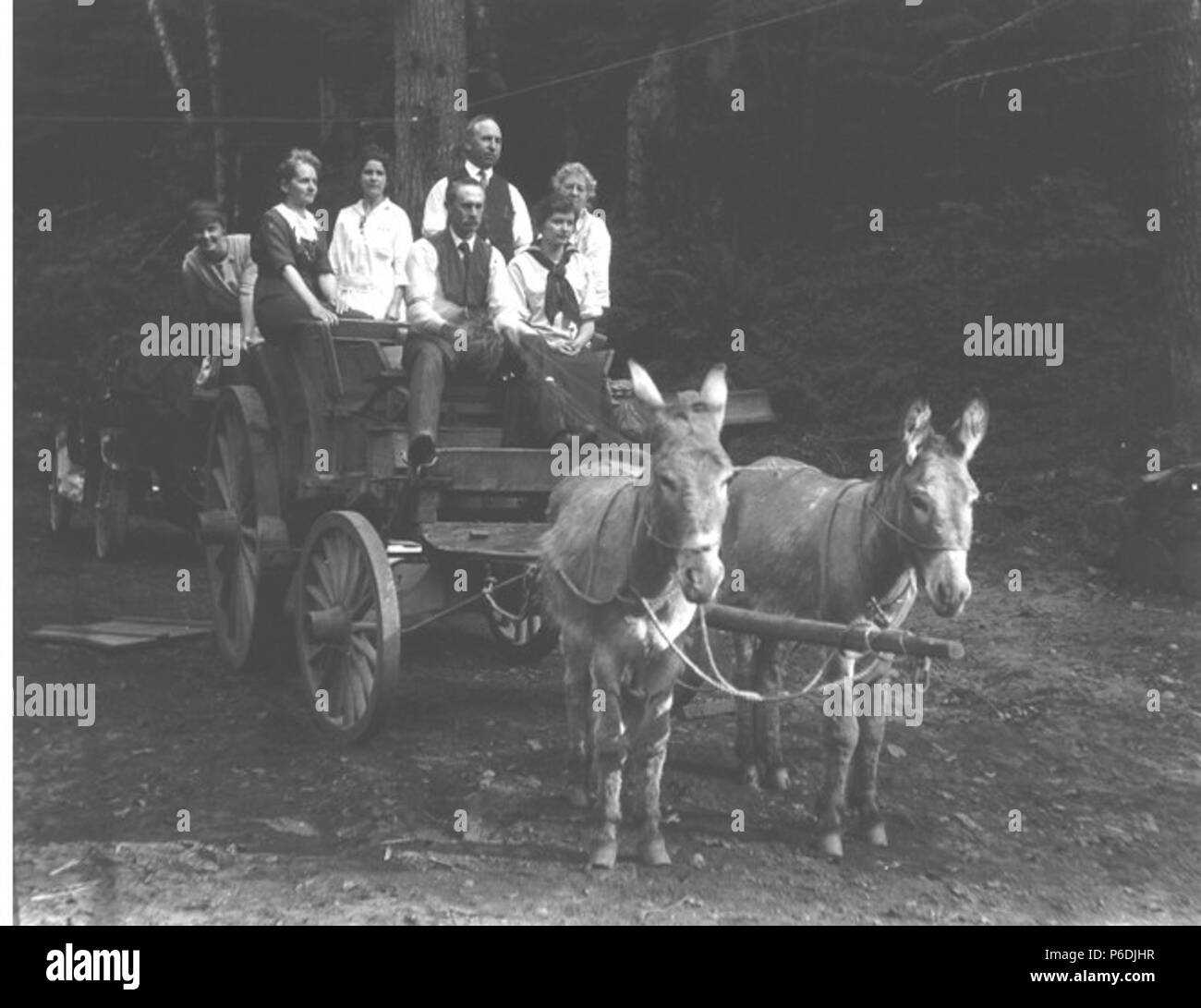 . Anglais : Kiehl famille et d'autres à bord de chariot tiré par des ânes, Mount Rainier National Park, Washington, 4 juillet 1915 . Anglais : Texte de Kiehl's journal : Jim jacks.[donkey's hauling wagon avec la famille].Mt Rainier National Park. Le 4 juillet 1915 . Album 1,182 sujets (LCTGM) : Kiehl, H. Ambrose--famille ; les gens -- Washington (État) Sujets (LCSH) : Wagons--Washington (État)--Mount Rainier National Park ; Les ânes--Washington (État)--Mount Rainier National Park Concepts : thèmes animaux . 191558 Kiehl famille et d'autres personnes à bord de chariot tiré par des ânes, Mount Rainier National Park, Washington, 4 juillet 1915 (KIEHL Banque D'Images