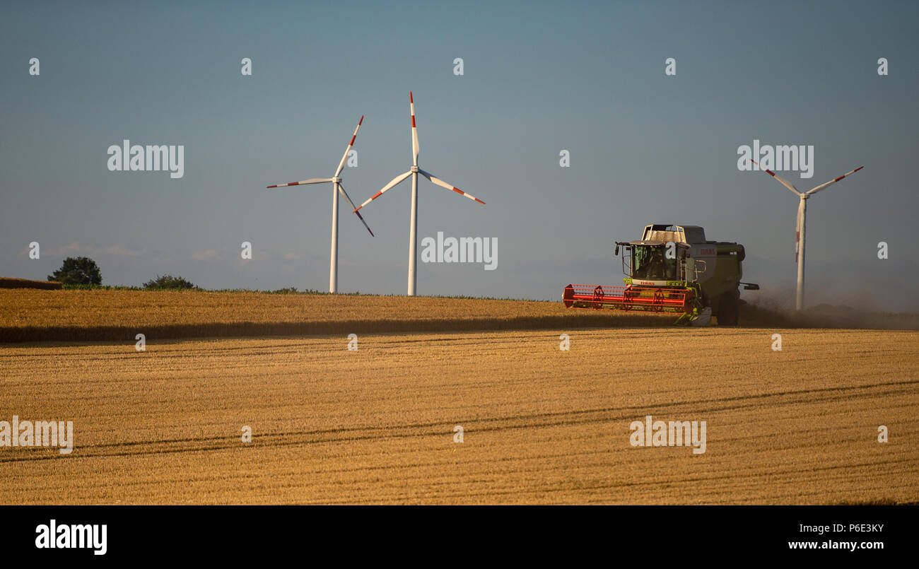 Wriedel, Allemagne. 29 Juin, 2018. L'orge d'hiver est récolté avec une moissonneuse-batteuse dans la soirée. Credit : Philipp Schulze/dpa/Alamy Live News Banque D'Images