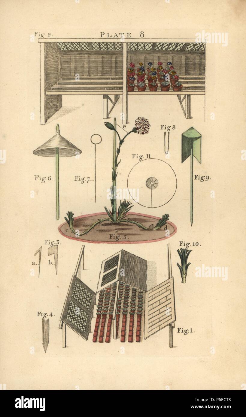 Winter frame 1, étape 2, fougère pour auriculas peg 3, jeu 4, 5 pot carnation, papier 6, fil de laiton, 7 pinces sur le fil 8, ombre 9, œillet, et la tuyauterie 10 card protector pour une fleur rose 11. Coloriée à la gravure sur cuivre de James Maddock's 'Le répertoire du fleuriste, Londres, John Harding, 1810. Nouvelle édition améliorée par Samuel Curtis, dont la sœur épousa James Maddock junior. Banque D'Images