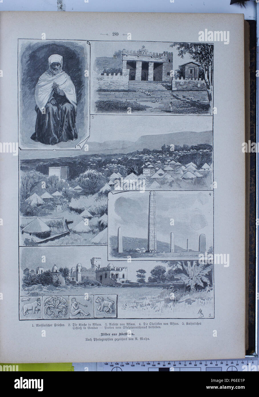 . Die Gartenlaube. Erreur d'expression : mot inconnu 'die'. Deutsch : keine Bildunterschrift : Anglais pas de légende . N/A 24 Die Gartenlaube (1896) 0289 Banque D'Images
