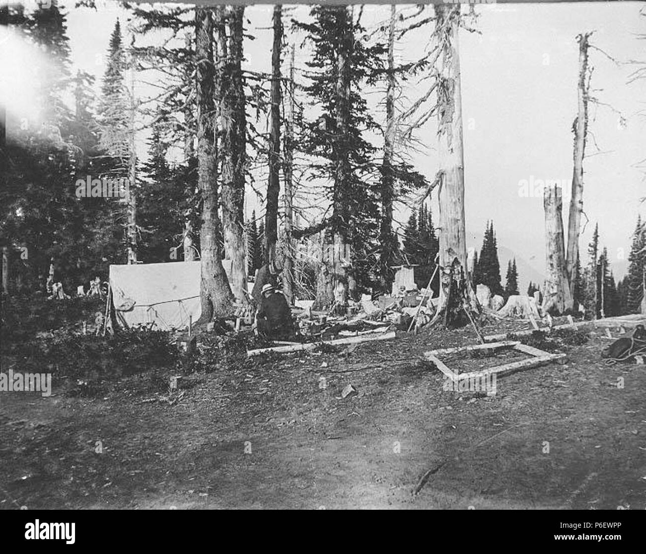 . Anglais : Camping à Reese's Camp, Paradise Park, pente sud-est du Mont Rainier, ca. 1897 . Anglais : Maintenant situé à Mount Rainier National Park, qui a été créée en 1899. PH Coll 35,216 Sujets (LCTGM) : Camps--Washington (État)--Paradise Park ; Tentes--Washington (État)--Paradise Park ; parcs nationaux & réserves--Washington (État) Sujets (LCSH) : Paradise Park (Washington) ; Mount Rainier National Park (Washington) . vers 1897 9 Camping à Reese's Camp, Paradise Park, pente sud-est du Mont Rainier, ca 1897 SARVANT (36) Banque D'Images