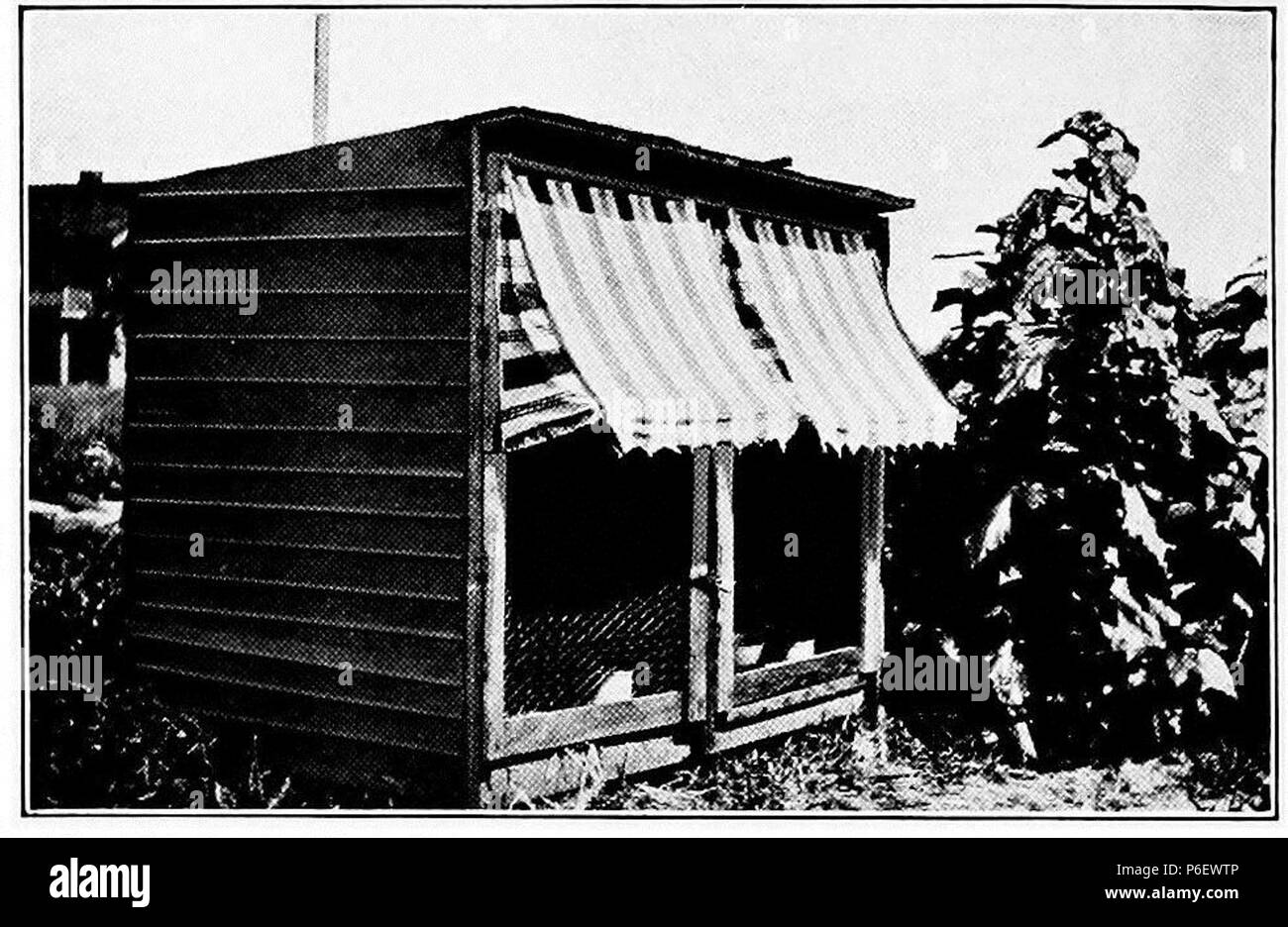 Anglais : Numériser à partir d'un livre 'Les soins et la gestion de lapins' . 1920 9 Les soins et la gestion de lapins 0233a Banque D'Images