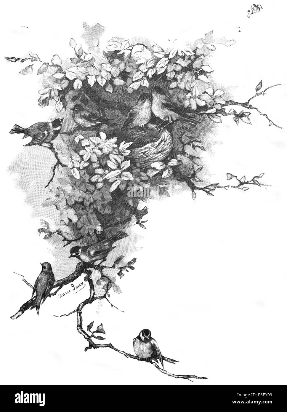 . Die Gartenlaube. Bild aus Seite 449 dans die Gartenlaube'. Libre à partir de la page 449 de la revue Die Gartenlaube, 1891. Deutsch : keine Bildunterschrift : Anglais pas de légende . N/A 18 Die Gartenlaube (1891) b 449 Banque D'Images