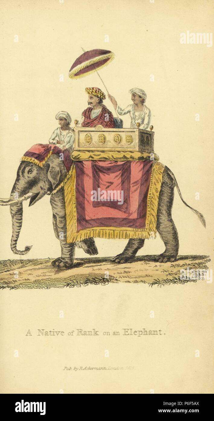 Palanquin elephant Banque de photographies et d’images à haute ...