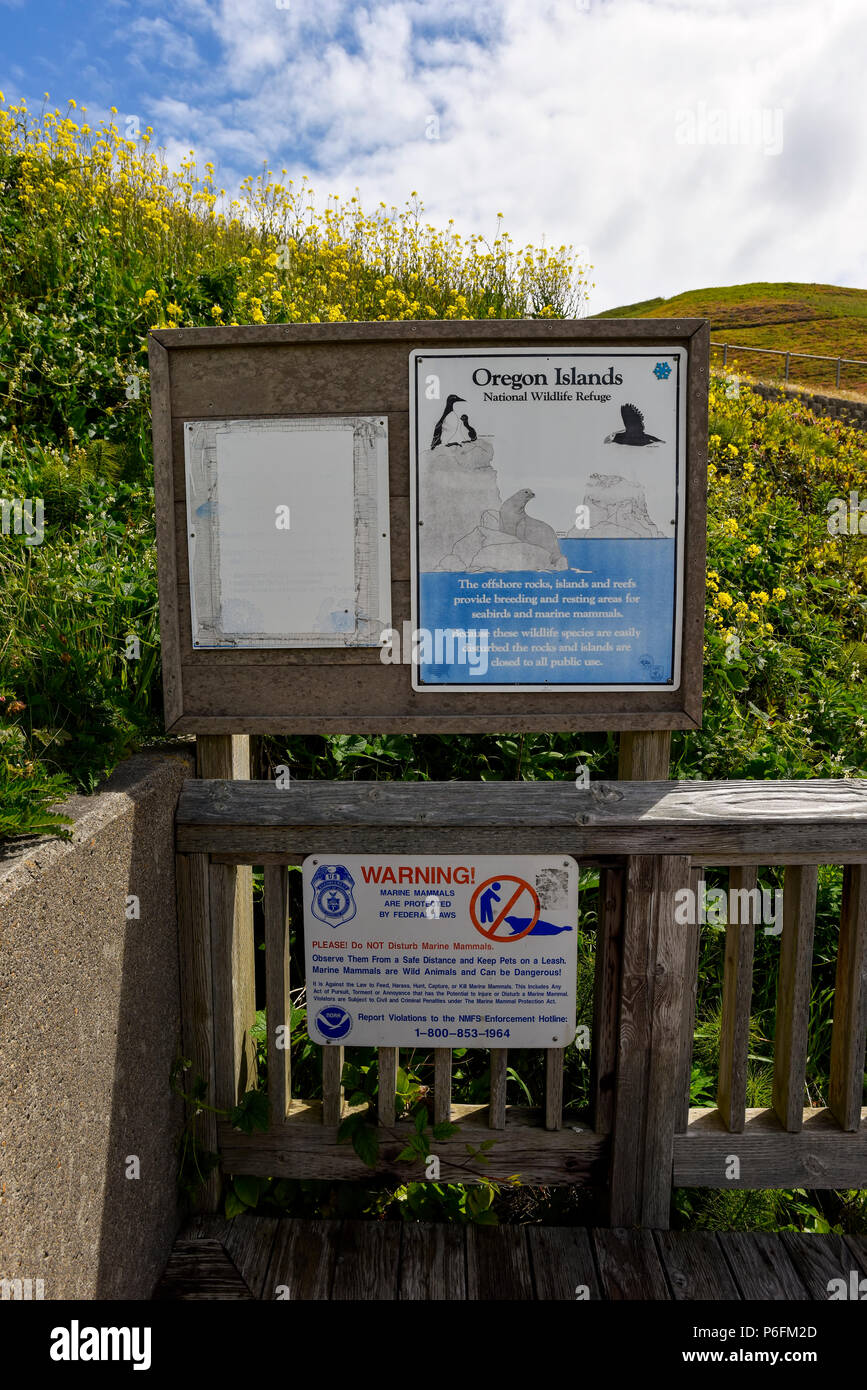 Oregon Coast beach point d'observation Banque D'Images Oregon Coast beach point d'observation Banque D'Images