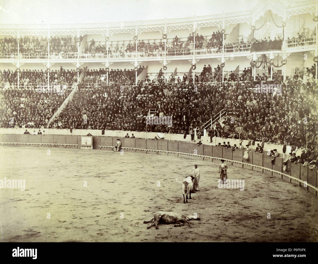 Sevilla, corrida de toros, Entrando a matar. Banque D'Images