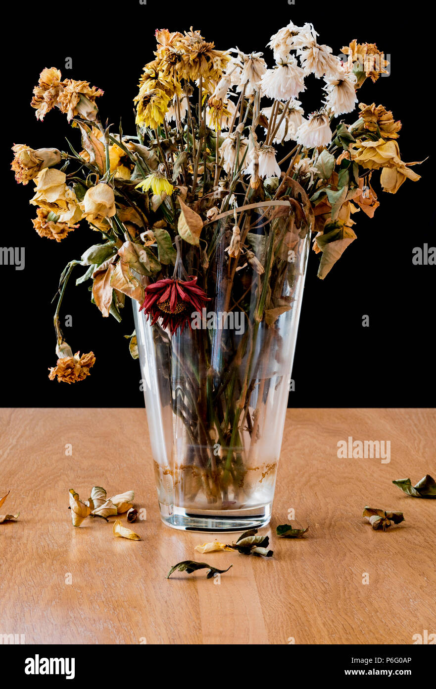 Vase de fleurs mortes et en décomposition. Représentant le sentiment de solitude, la tristesse, la dépression et la perte de la vie. Banque D'Images