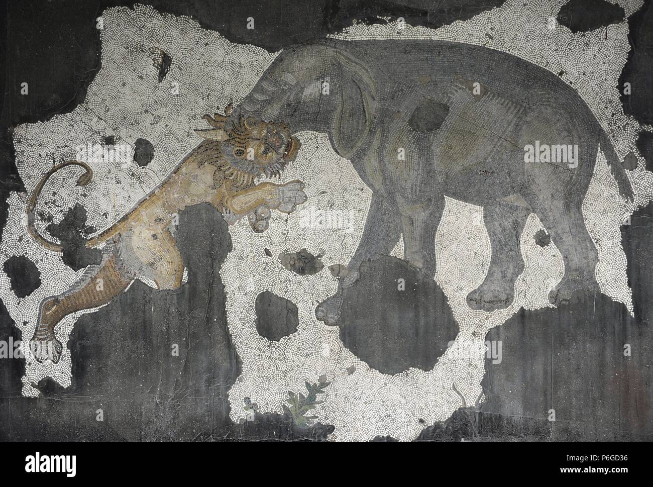 Grand Palais Musée de la mosaïque. Mosaïques de la chaussée d'une cour péristyle (Grand Palais de Constantinople). 4e-6e siècles. Période Byzantine. Détail. L'éléphant et le lion. Le sud-ouest de hall. Istanbul. La Turquie. Banque D'Images