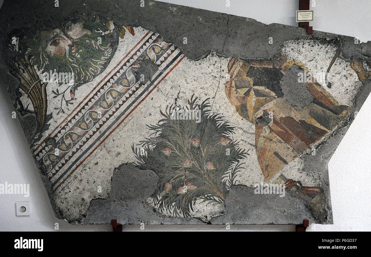 Grand Palais Musée de la mosaïque. Mosaïques de la chaussée d'une cour péristyle (Grand Palais de Constantinople). 4e-6e siècles. Période Byzantine. Détail. Arbres et tête masquée dans un défilement d'acanthe. Le sud-ouest de hall. Istanbul. La Turquie. Banque D'Images