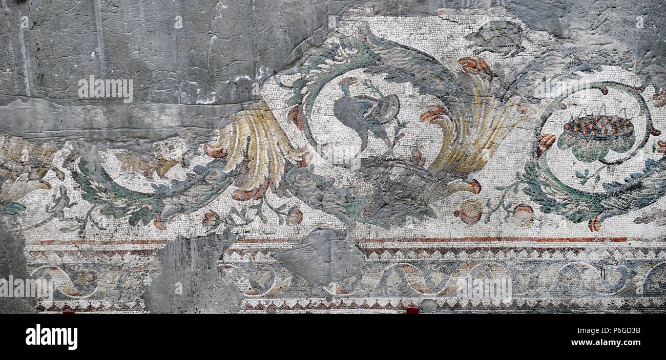 Grand Palais Musée de la mosaïque. Mosaïques de la chaussée d'une cour péristyle (Grand Palais de Constantinople). 4e-6e siècles. Période Byzantine. Détail. Le sud-ouest de hall. Istanbul. La Turquie. Banque D'Images