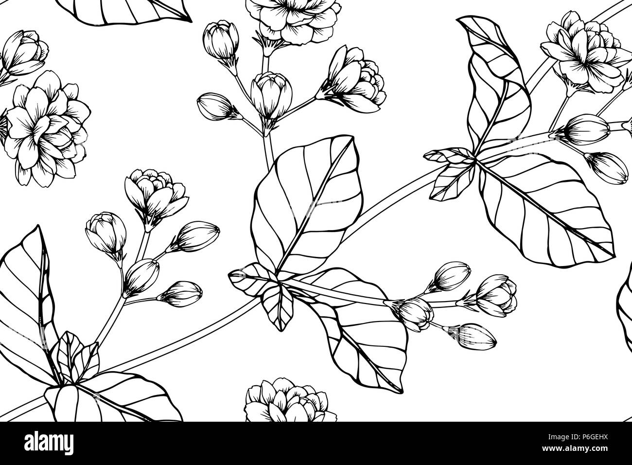 Motif De Fleurs De Jasmin Sans Arrière Plan Noir Et Blanc