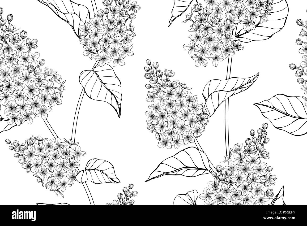 Motif à fleurs lilas sans arrière-plan. Noir et blanc avec dessin