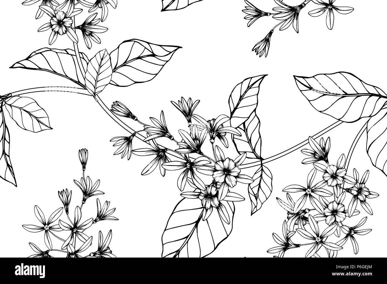 Verre transparent fleur de vigne. Noir et blanc avec dessin illustration art de la ligne. Illustration de Vecteur