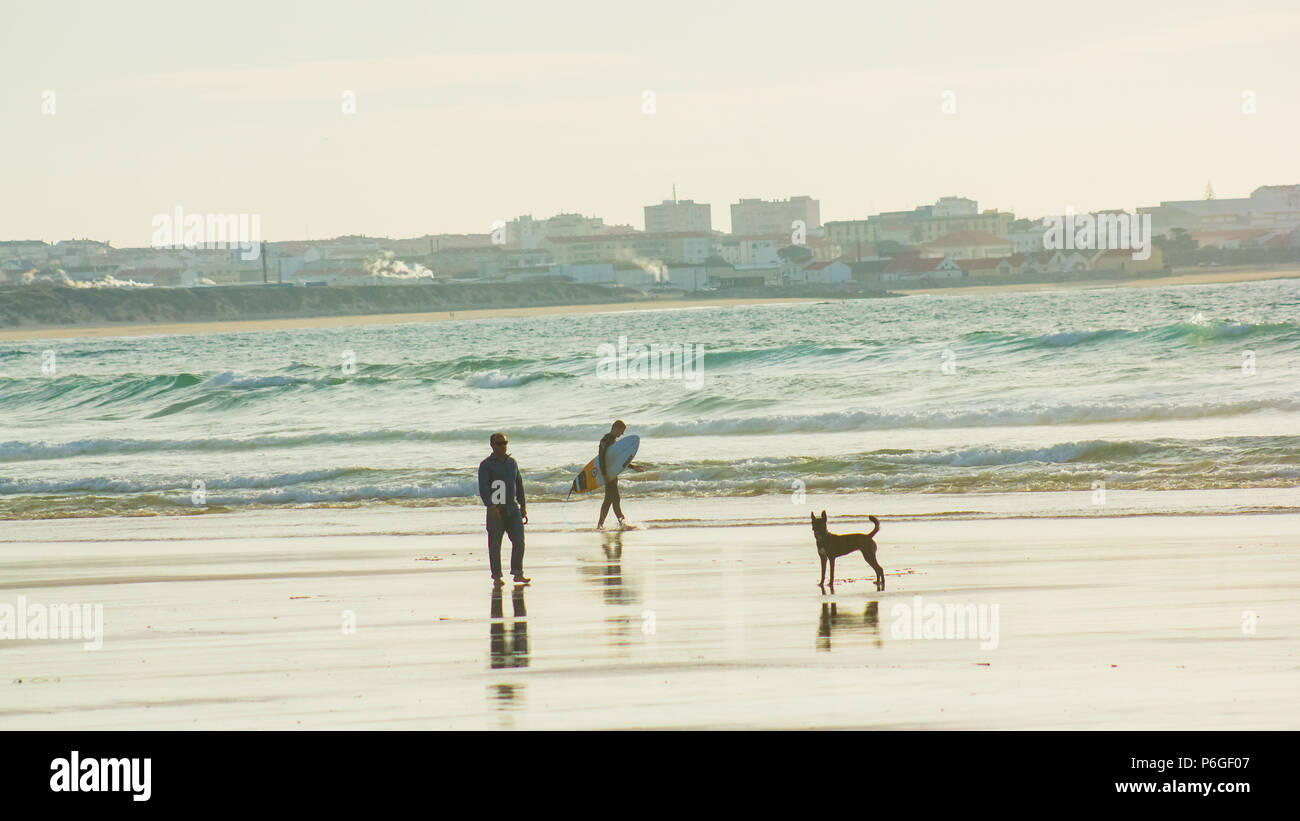 Scène de bord de mer dans la sérénité de ressort sur la plage de Baleal, Peniche, Portugal : un surfeur, un homme et un chien. Nous pouvons voir les reflets dans le sable humide. Banque D'Images