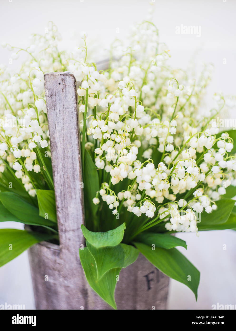 Floral printemps concept carte blanche avec fleurs lily mai sur fond rustique with copy space Banque D'Images