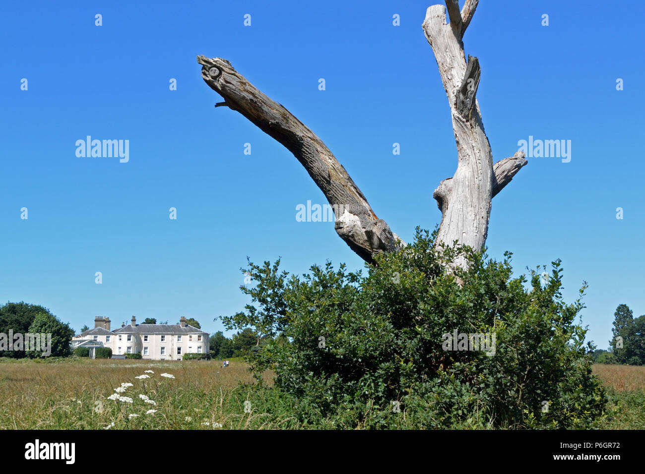 Catton Hall vu de Catton Park, Norwich, Humphry Repton paysage de la première commission. Banque D'Images