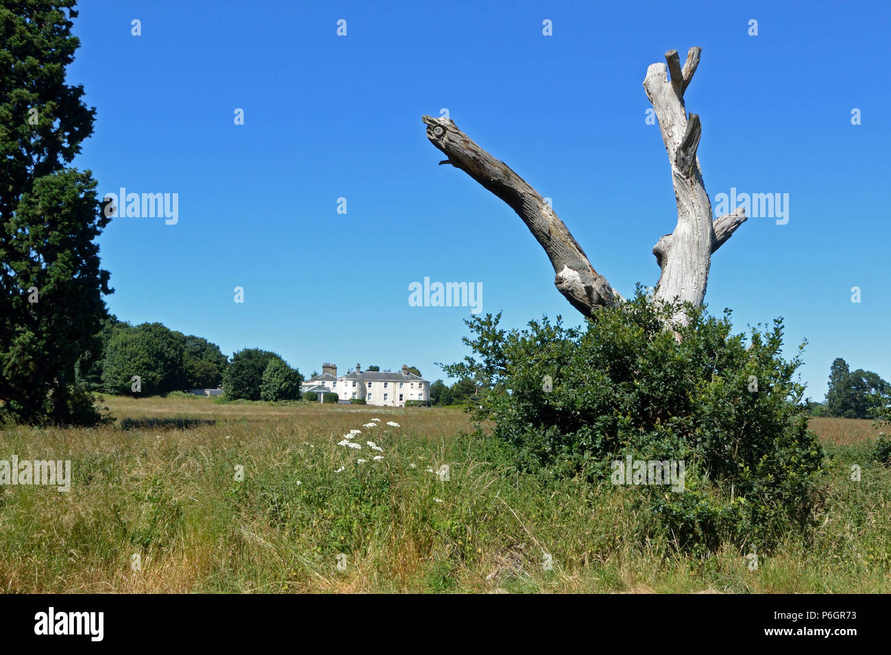 Catton Hall vu de Catton Park, Norwich, Humphry Repton paysage de la première commission. Banque D'Images