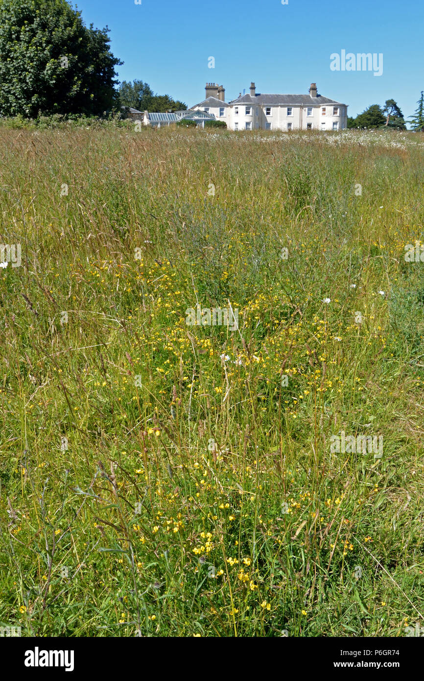 Catton Hall vu de Catton Park, Norwich, Humphry Repton paysage de la première commission. Banque D'Images