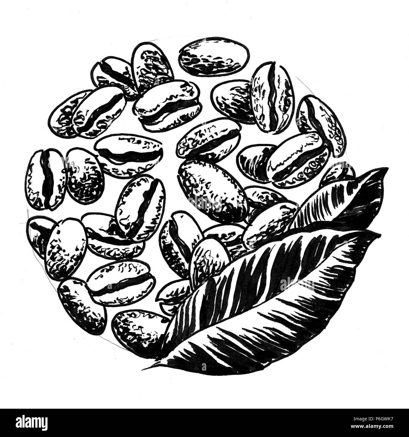 Coffee Bean dans le cercle. Noir et blanc Encre illustrtation Banque D'Images