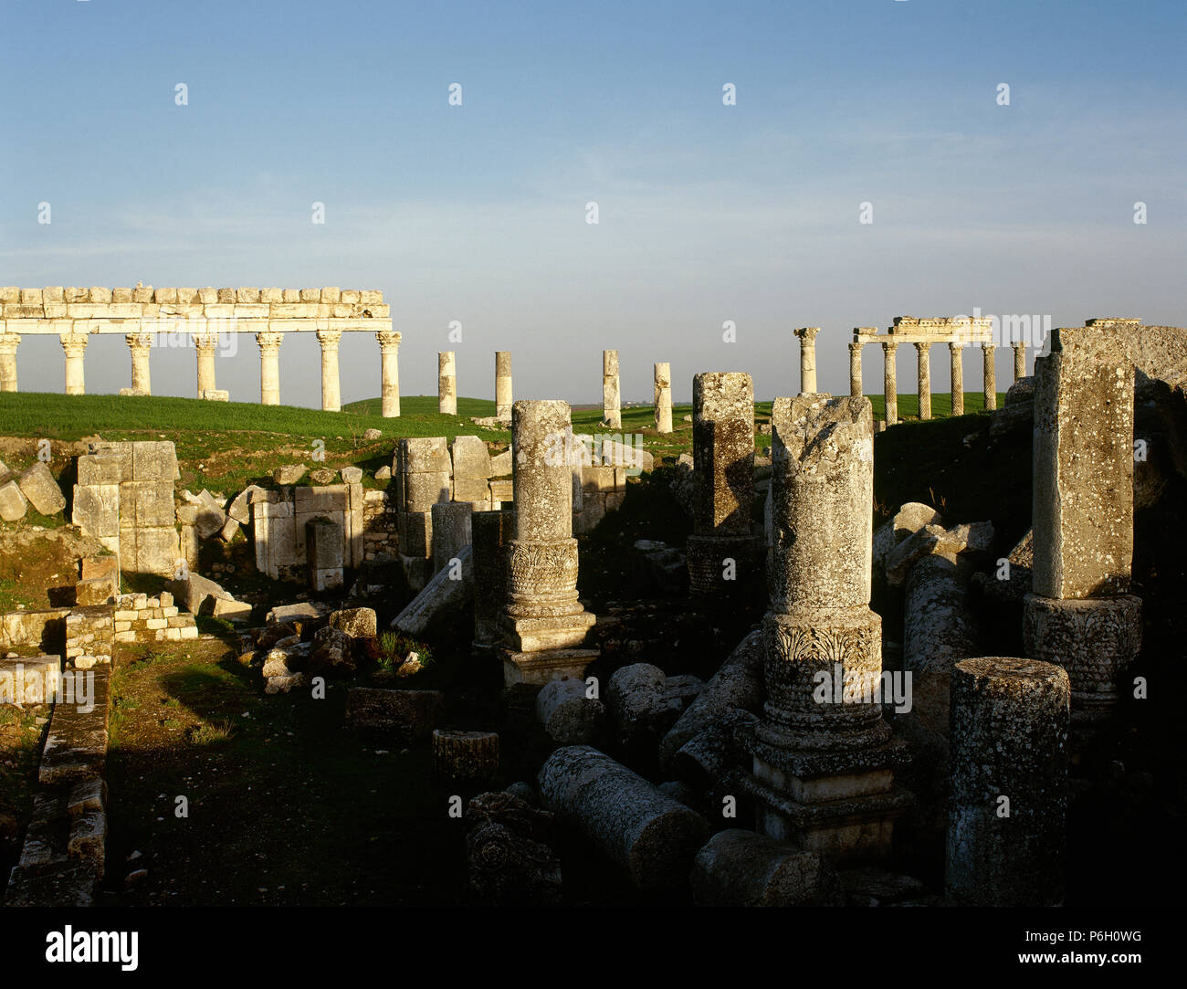 La Syrie. Apamée ou Apameia (Afamia). C'était une ancienne ville grecque et romaine. Ruines du temple de Zeus Bêlos avec grande colonnade en arrière-plan. Photo prise avant la guerre civile syrienne. Banque D'Images La Syrie. Apamée ou Apameia (Afamia). C'était une ancienne ville grecque et romaine. Ruines du temple de Zeus Bêlos avec grande colonnade en arrière-plan. Photo prise avant la guerre civile syrienne. Banque D'Images