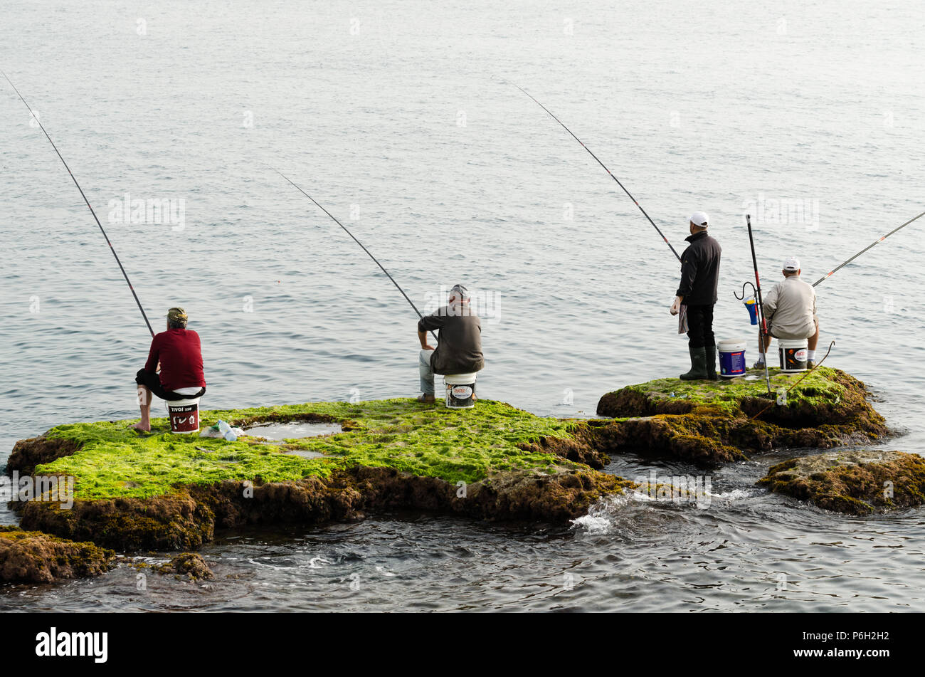 Les pêcheurs avec des cannes à pêche en attente d'une prise sur les rochers couverts d'algues dans l'eau, Byblos, Liban Banque D'Images