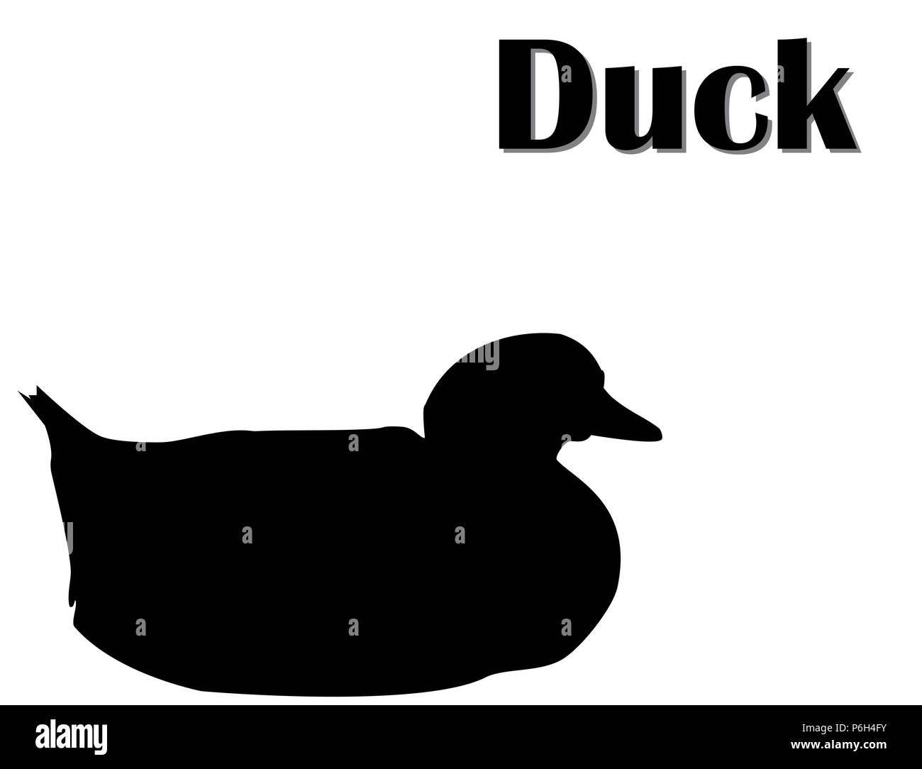 Silhouette noire de canard assis, fond blanc, vector, eps 10 Banque D'Images