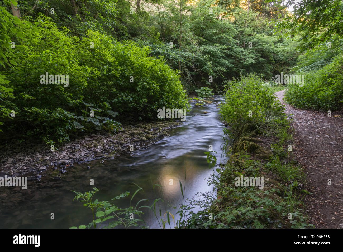 La rivière qui coule doucement Dove un soir d'été dans le quartier calme de Beresford gorge calcaire Dale dans le Derbyshire Peak District en Angleterre, Royaume-Uni Banque D'Images