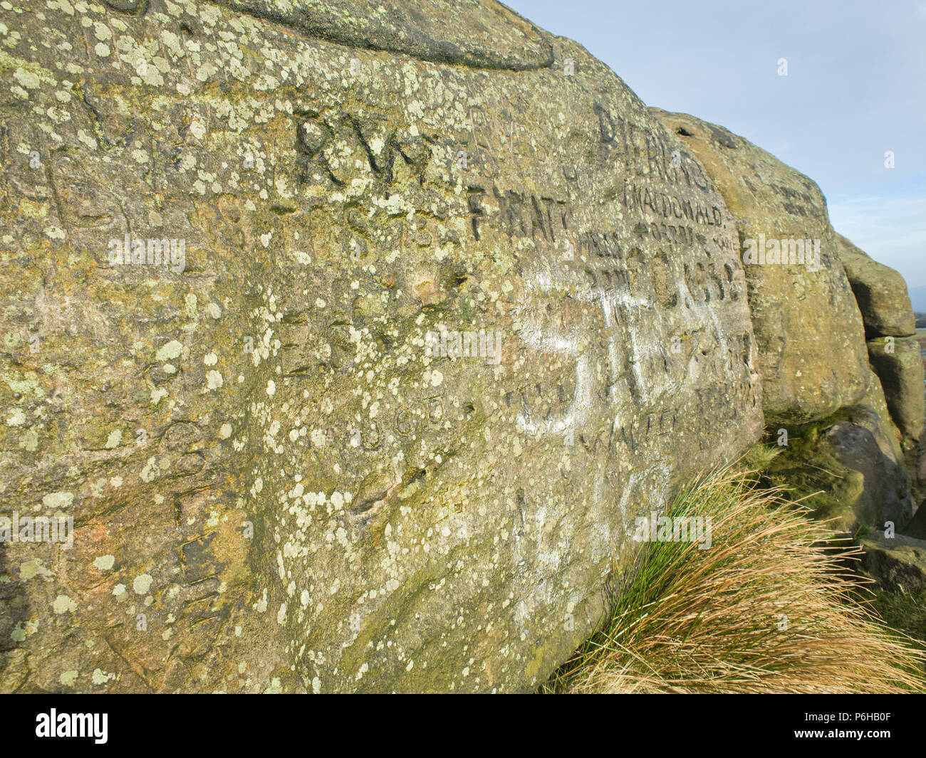 Veau vache et d'Ilkley moor West Yorkshire UK Banque D'Images