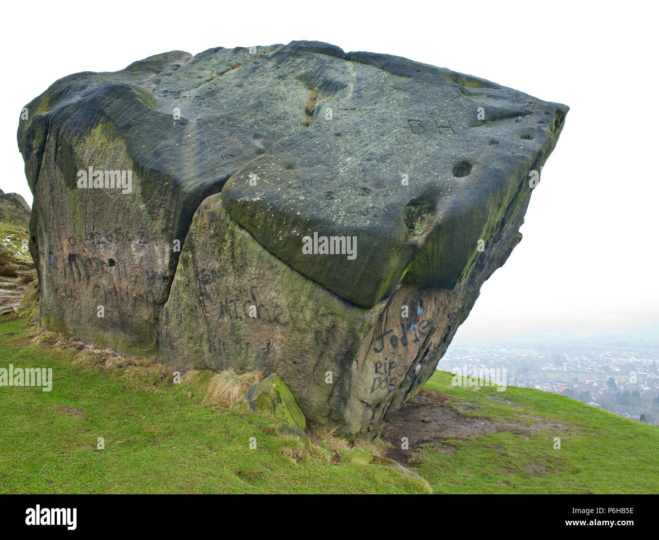 Veau vache et d'Ilkley moor West Yorkshire UK Banque D'Images