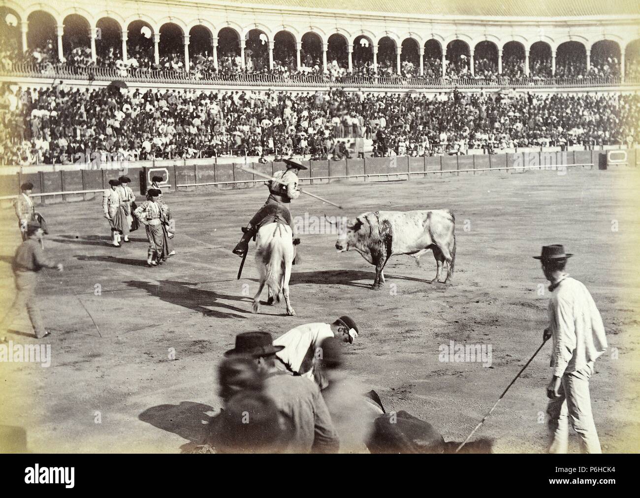 Sevilla, corrida de toros, suerte de varas. Banque D'Images