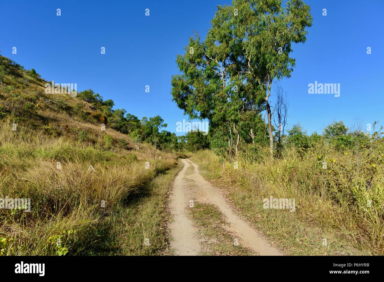 Un chemin de terre à travers le paysage australien, de nombreux pics de la randonnée au Mont Marlow, Townsville, Queensland 4810 Commune de la ville, de l'Australie Banque D'Images