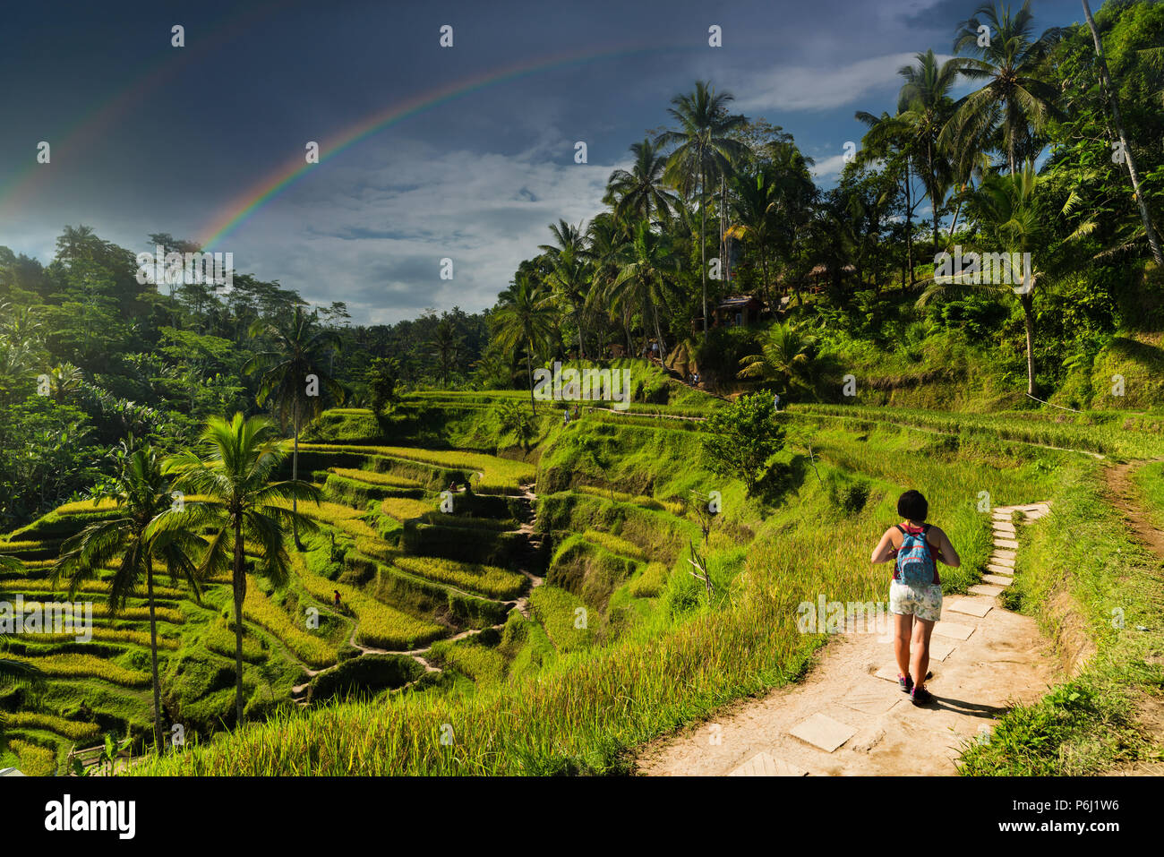 Tegalalang terrasse plantation de riz à Bali, Indonésie. Banque D'Images