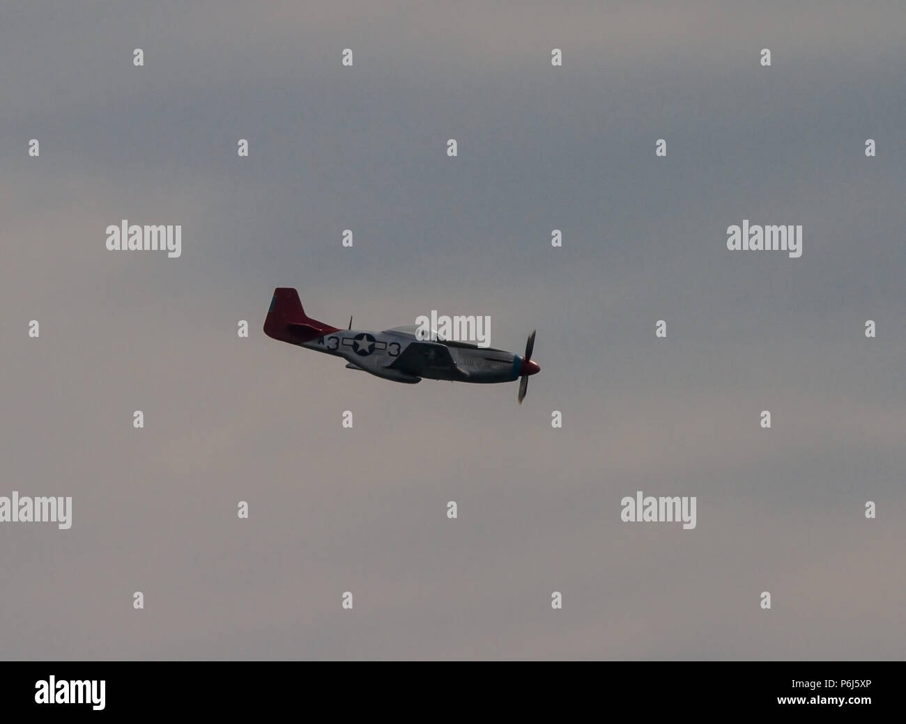 P51 Mustang Banque D'Images